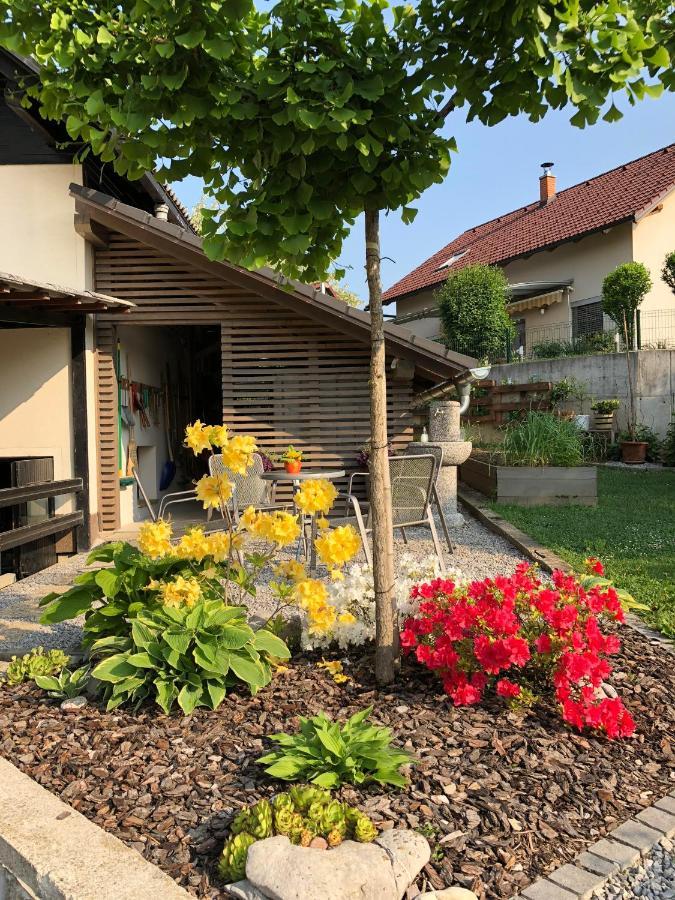 Apartma Nomad Ново Место Екстер'єр фото