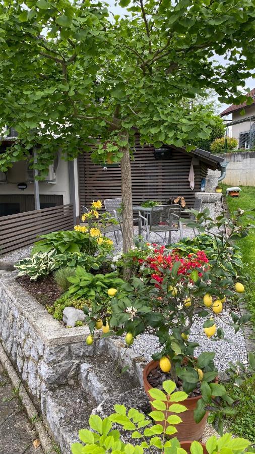 Apartma Nomad Ново Место Екстер'єр фото